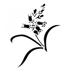 D SERİSİ STENCIL D68 15X20