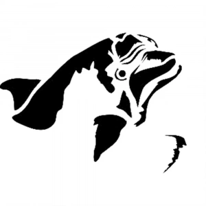 D SERİSİ STENCIL D954 15X20