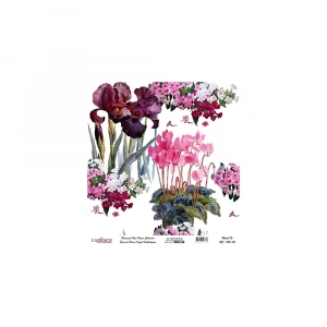 EVRENSEL PİRİNÇ KAĞIT KOLEKSİYON BEYAZ ZEMİN UC-002 30X30