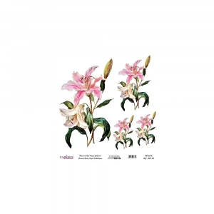 EVRENSEL PİRİNÇ KAĞIT KOLEKSİYON BEYAZ ZEMİN UC-008 30X30