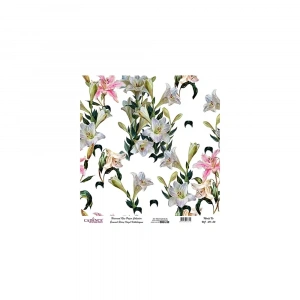 EVRENSEL PİRİNÇ KAĞIT KOLEKSİYON BEYAZ ZEMİN UC-011 30X30