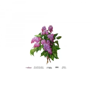 EVRENSEL PİRİNÇ KAĞIT KOLEKSİYON BEYAZ ZEMİN UC-013 30X30