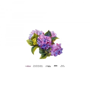 EVRENSEL PİRİNÇ KAĞIT KOLEKSİYON BEYAZ ZEMİN UC-016 30X30