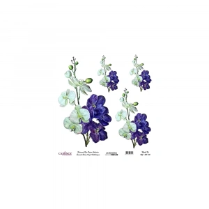 EVRENSEL PİRİNÇ KAĞIT KOLEKSİYON BEYAZ ZEMİN UC-021 30X30