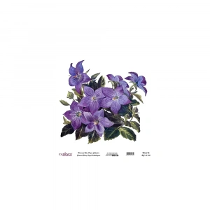 EVRENSEL PİRİNÇ KAĞIT KOLEKSİYON BEYAZ ZEMİN UC-111 30X30