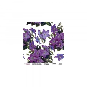 EVRENSEL PİRİNÇ KAĞIT KOLEKSİYON BEYAZ ZEMİN UC-112 30X30