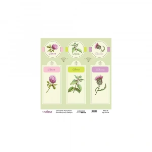 EVRENSEL PİRİNÇ KAĞIT KOLEKSİYON BEYAZ ZEMİN UC-131 30X30