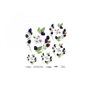 EVRENSEL PİRİNÇ KAĞIT KOLEKSİYON BEYAZ ZEMİN UC-134 30X30