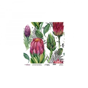 EVRENSEL PİRİNÇ KAĞIT KOLEKSİYON BEYAZ ZEMİN UC-142 30X30