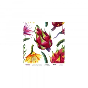 EVRENSEL PİRİNÇ KAĞIT KOLEKSİYON BEYAZ ZEMİN UC-144 30X30