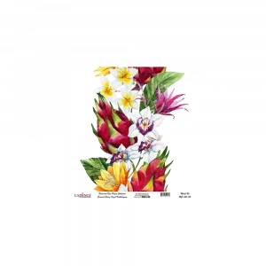 EVRENSEL PİRİNÇ KAĞIT KOLEKSİYON BEYAZ ZEMİN UC-145 30X30