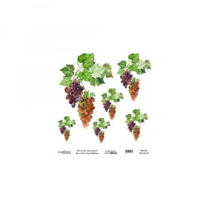 EVRENSEL PİRİNÇ KAĞIT KOLEKSİYON BEYAZ ZEMİN UC-162 30X30