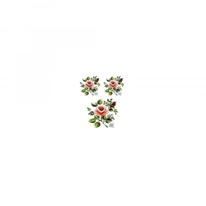 GÜLSÜN ÜLKÜ KOLAY TRANSFER G-04 17X25