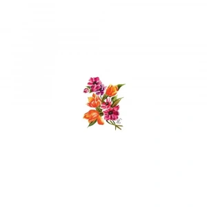 GÜLSÜN ÜLKÜ KOLAY TRANSFER G-60 25X35