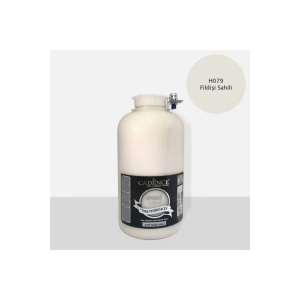 HYBRID AKR. MULTISURFACES H-079 FİLDİŞİ SAHİLİ 2000ML