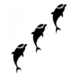 K SERİSİ STENCIL K142 6X20