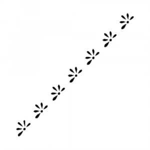 K SERİSİ STENCIL K21 6X20