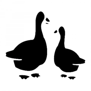 M SERİSİ STENCIL M24 7X10