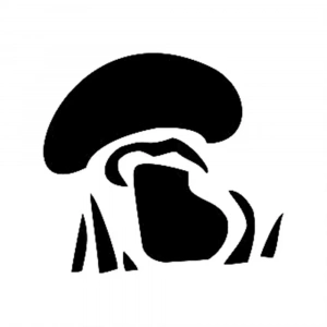 M SERİSİ STENCIL M38 7X10