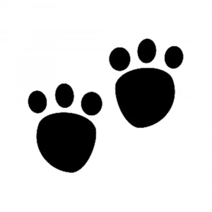 M SERİSİ STENCIL M63 7X10