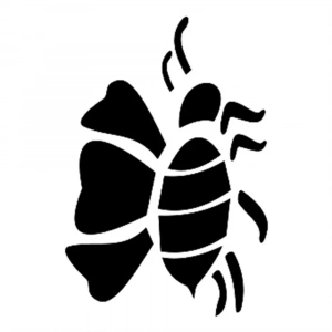 O SERİSİ STENCIL O103 10X15