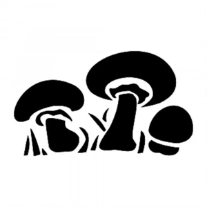 O SERİSİ STENCIL O37 10X15