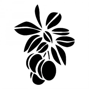 O SERİSİ STENCIL O72 10X15