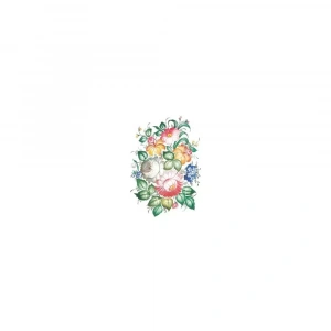 OLEG KULAKOV KOLAY TRANSFER T-19 17X25