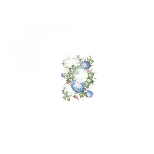 OLEG KULAKOV KOLAY TRANSFER T-223 25X35