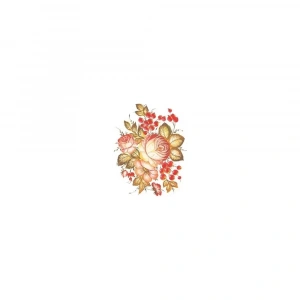 OLEG KULAKOV KOLAY TRANSFER T-24 17X25