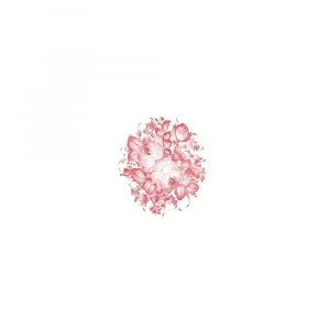 OLEG KULAKOV KOLAY TRANSFER T-29 17X25