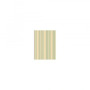 PİRİNÇ KAĞIT MODEL 100 30X42