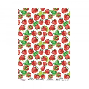 PİRİNÇ KAĞIT MODEL 375 30X42