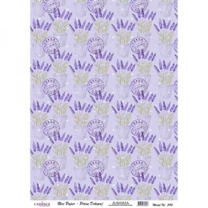 PİRİNÇ KAĞIT MODEL 394 30X42