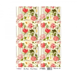 PİRİNÇ KAĞIT MODEL 537 30X42