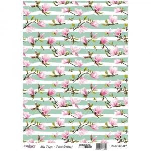 PİRİNÇ KAĞIT MODEL 559 30X42