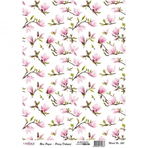 PİRİNÇ KAĞIT MODEL 560 30X42