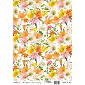 PİRİNÇ KAĞIT MODEL 561 30X42