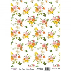 PİRİNÇ KAĞIT MODEL 562 30X42