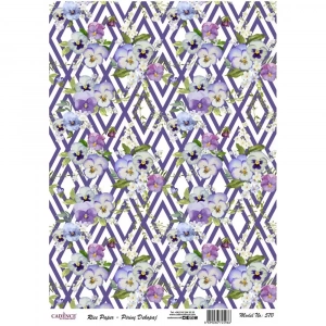 PİRİNÇ KAĞIT MODEL 570 30X42