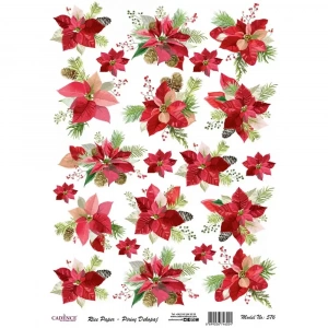 PİRİNÇ KAĞIT MODEL 576 30X42