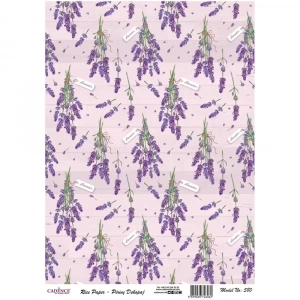 PİRİNÇ KAĞIT MODEL 580 30X42