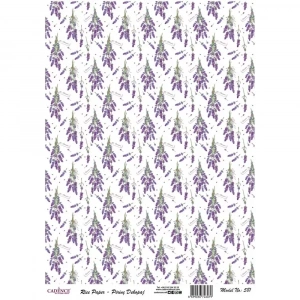 PİRİNÇ KAĞIT MODEL 581 30X42