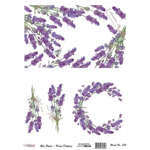 PİRİNÇ KAĞIT MODEL 583 30X42