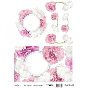 PİRİNÇ KAĞIT MODEL 588 30X42