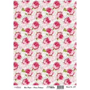 PİRİNÇ KAĞIT MODEL 589 30X42