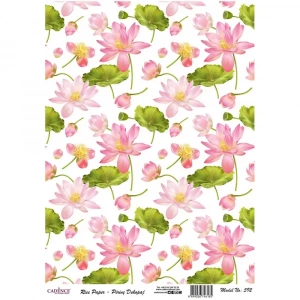 PİRİNÇ KAĞIT MODEL 592 30X42