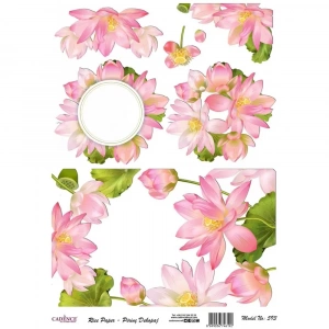 PİRİNÇ KAĞIT MODEL 593 30X42