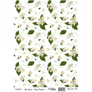 PİRİNÇ KAĞIT MODEL 594 30X42