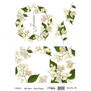 PİRİNÇ KAĞIT MODEL 595 30X42